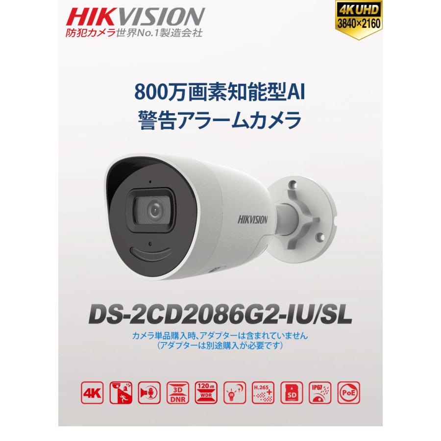 HIKVISION] [IP-8M] 24時間カラーIPカメラ/DS-2CD2086G2-IU/SL/人,車 