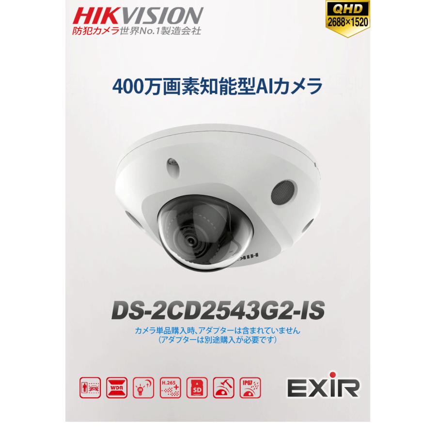 HIKVISION] [IP-4M] AI IPカメラ/DS-2CD2543G2-IS/動き検知/ライン