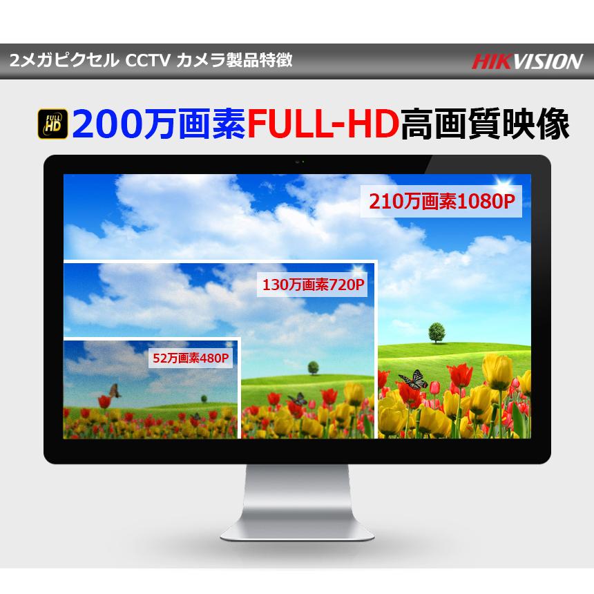 [HIKVISION] TVI AHD CVI SD オールインワン ハイブリッド 210万画素 赤外線カメラ 2メガピクセル 1080P 屋外用 夜間50m EXIR　防水 DS-2CE16D3T-IT3F｜no1cctv｜02