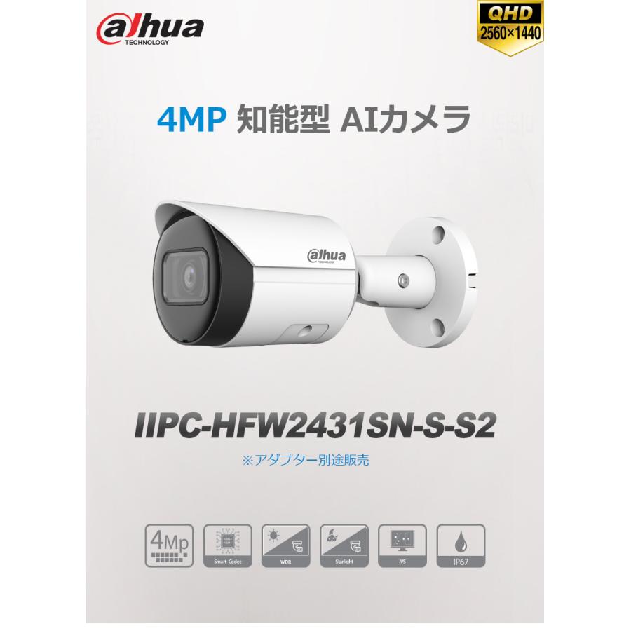 [DAHUA] [IP-4M] 防犯カメラ 400万画素 4メガピクセル Smart H.265+　POE 夜間30m 衝撃保護 防水 知能型 IVS(Tripwire，Intrusion) IPC-HFW2431SN-S-S2_1