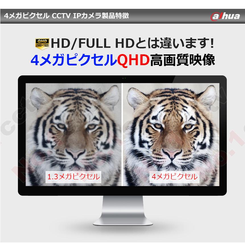 [DAHUA] [IP-4M] 防犯カメラ 400万画素 4メガピクセル Smart H.265+　POE 夜間30m 衝撃保護 防水 知能型 IVS(Tripwire，Intrusion) IPC-HFW2431SN-S-S2_2
