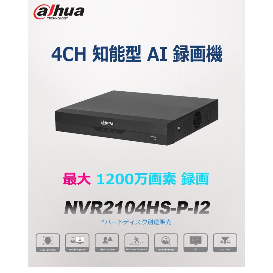 DAHUA] [IP-NVR 4CH] 知能型 ネットワーク AI録画機 10メガ録画 16TB