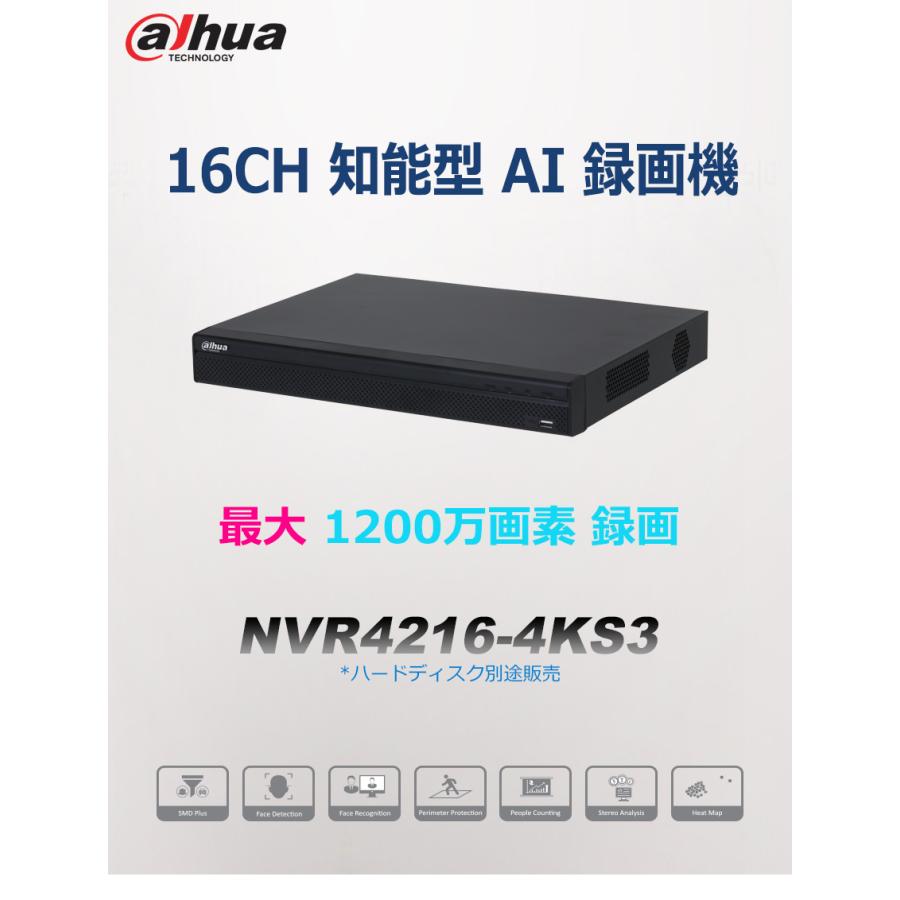 [DAHUA] [IP-NVR 16CH] 知能型 IP NVR 16CH ネットワーク AI録画機 12メガ録画 20TB HDD 2個装着可能 Smart H.265 人車認識 AI検索 NVR4216-4KS3_1