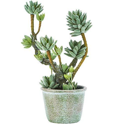 格安即決 Energypower フェイクグリーン セダム盆栽 人工多肉植物 水やり不要 光触媒防臭抗菌 本物そっくりの枯れないイミテーショングリ 新発売の Www Tiebreak Fr