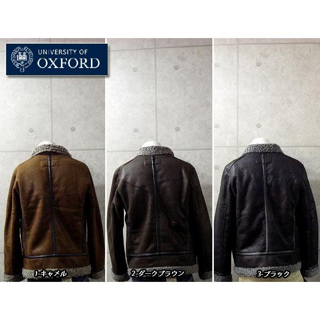 UNIVERSITY OF OXFORD（ユニバーシティ・オブ・オックスフォード） 訳 