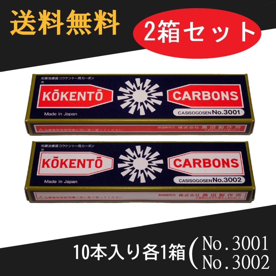 コウケントー 光線治療器用カーボン 3001番 3002番 セット 10本入り各1