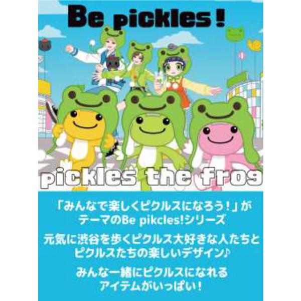 228932-26 ピクルス Be pickles BD ビーンドール ぬいぐるみ the frog