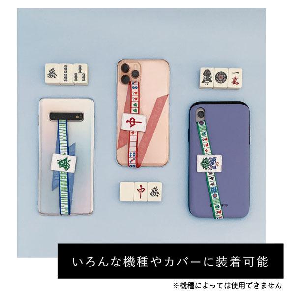 かが【標本】 まとめて A18 佐々木忠次郎教授関連 昆虫標本コレクション