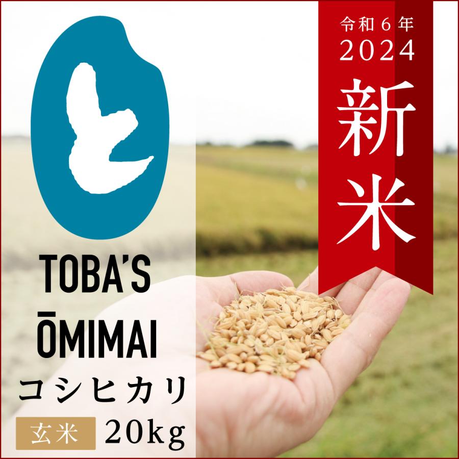 はむ様_令和5年度 茨城産コシヒカリ 20kg 送料無料 茨城県産コシヒカリ 20kg（5kg×4袋） 【精白米】 令和6年産 米