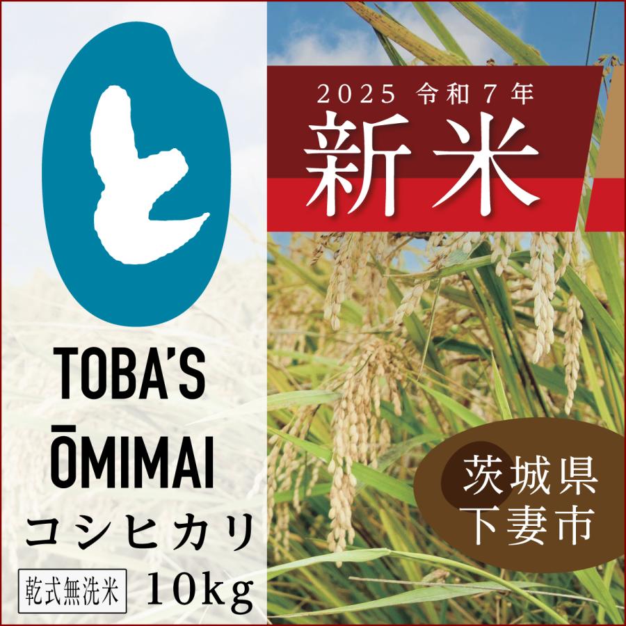 令和6年 茨城県産 コシヒカリ 10kg 無洗米