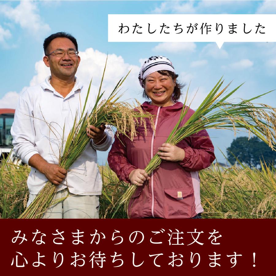 茨城県産ミルキークイーン 精米 5kg 令和2年度 新米 送料無料 鳥羽の淡海米 農家直送 Milkyqueen S 5 野部農園 通販 Yahoo ショッピング