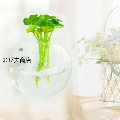 後払い手数料無料 送料無料 税込 花瓶 インテリア 観葉植物 ぶら下げ 植物 花 ガラスボール テラリウム 壁 水槽 おしゃれ Shipsctc Org