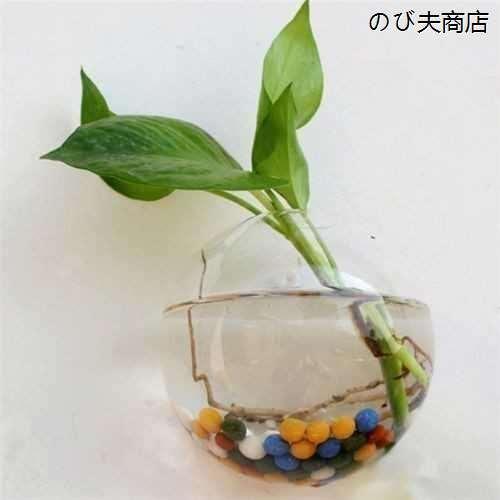 後払い手数料無料 送料無料 税込 花瓶 インテリア 観葉植物 ぶら下げ 植物 花 ガラスボール テラリウム 壁 水槽 おしゃれ Shipsctc Org