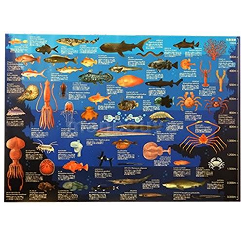 深海魚 図鑑 こども ポスター ザ アクセス 深海大全 A1サイズ Nobiru 通販 Yahoo ショッピング
