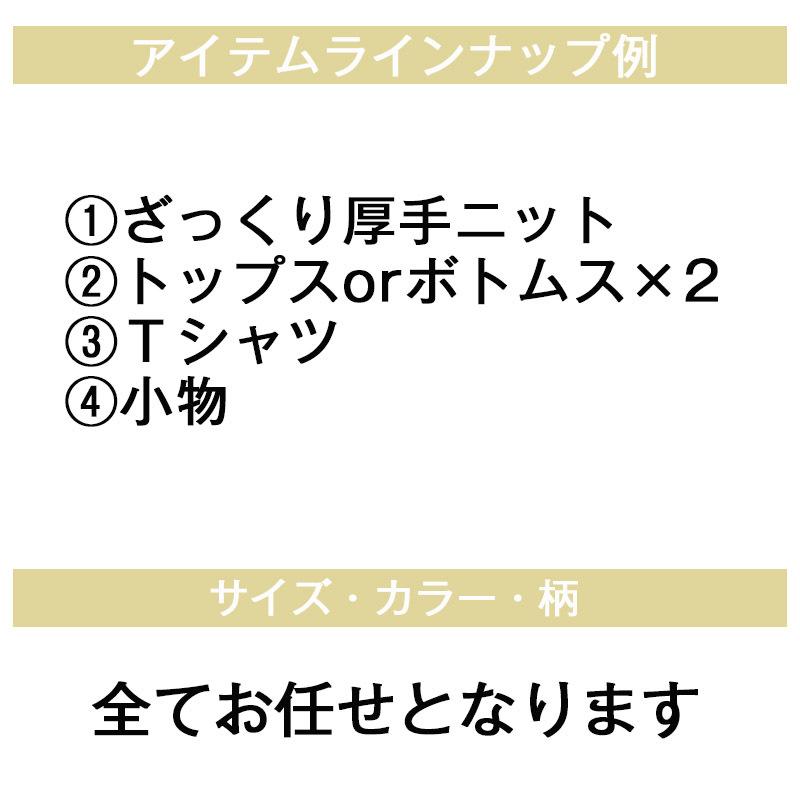 福袋 2022 レディース 服 福袋対象 福袋対象商品 ニット ブラウス カットソー tシャツ 大きい 大きいサイズ 5点入り トップス |  | 01