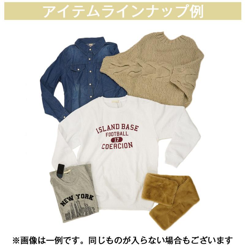 福袋 2022 レディース 服 福袋対象 福袋対象商品 ニット ブラウス カットソー tシャツ 大きい 大きいサイズ 5点入り トップス |  | 02