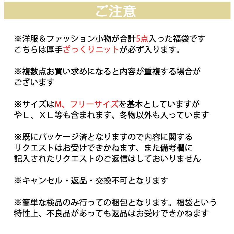 福袋 2022 レディース 服 福袋対象 福袋対象商品 ニット ブラウス カットソー tシャツ 大きい 大きいサイズ 5点入り トップス |  | 03