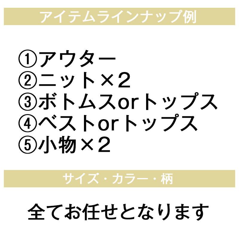 福袋 2022 レディース 服 福袋対象 福袋対象商品 アウター ニット ブラウス カットソー tシャツ 大きい 大きいサイズ 7点入り アウターが入る福袋 トップス |  | 01