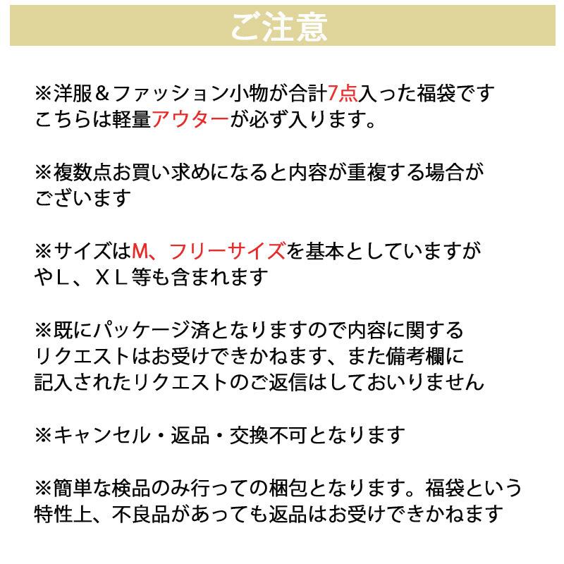 福袋 2022 レディース 服 福袋対象 福袋対象商品 アウター ニット ブラウス カットソー tシャツ 大きい 大きいサイズ 7点入り アウターが入る福袋 トップス |  | 03