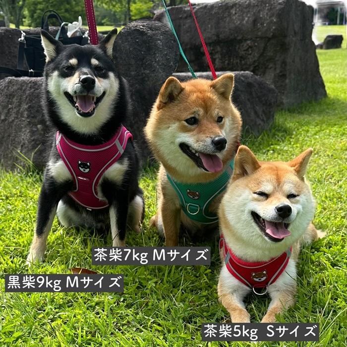 柴犬 ハーネス リード セット 首輪 犬用 ナイロン 安全性 通気性