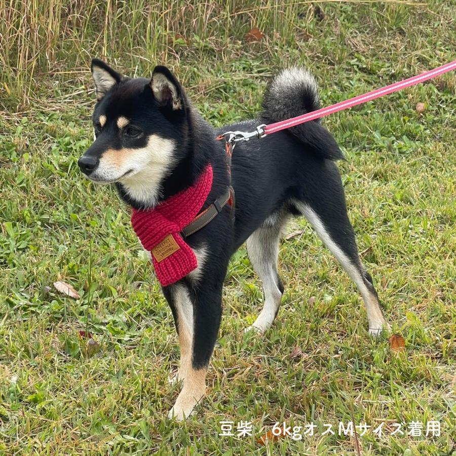 ペット マフラー] 差し込み式 冬 服 犬用 猫用 ペット服 冬物 犬服