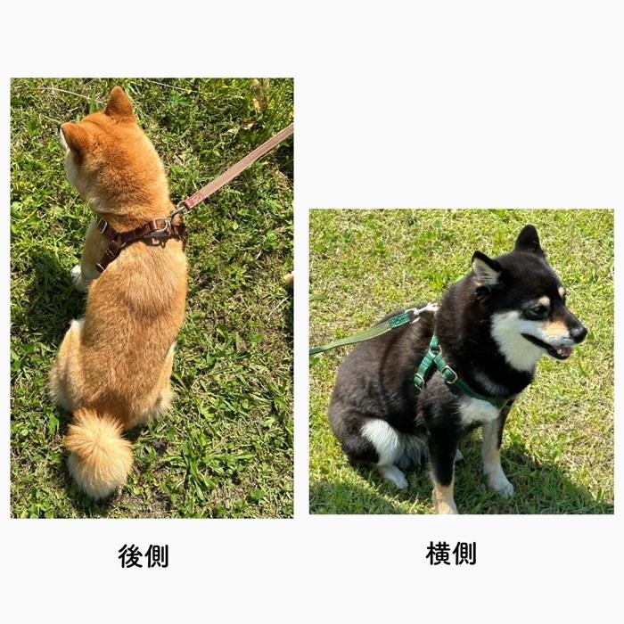 柔らか素材 ハーネスリードセット 胴輪 ペット用 犬 ハーネス レザー調