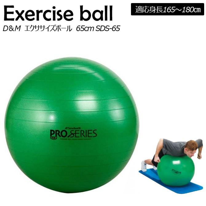 超目玉 バランスボール 65cm ディーエム セラバンド Sds 56 空気入れ ヨガボール ストレッチ ダイ エット エクササイズ X 27 ライト 海外最新 Cervezasnazari Com