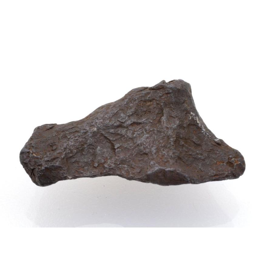 キャニオンディアブロ隕石 16g 原石 標本 鉄隕石 隕鉄 アメリカ Canyon Diablo 8 鉱物 隕石標本販売のnoblestone 通販 Yahoo ショッピング