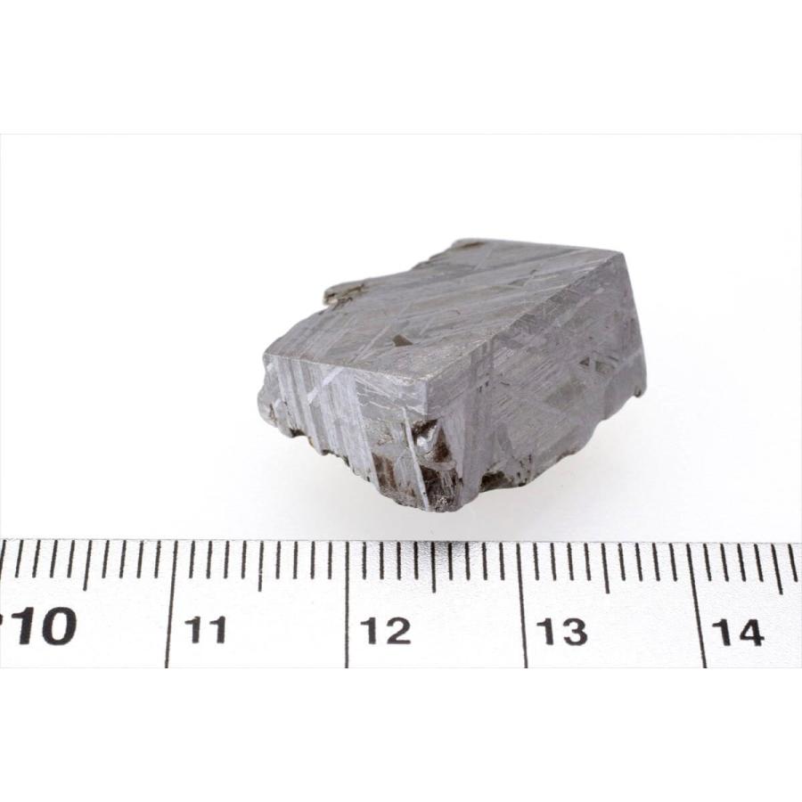 ムオニナルスタ ムオニオナルスタ 15g スライス カット 標本 隕石