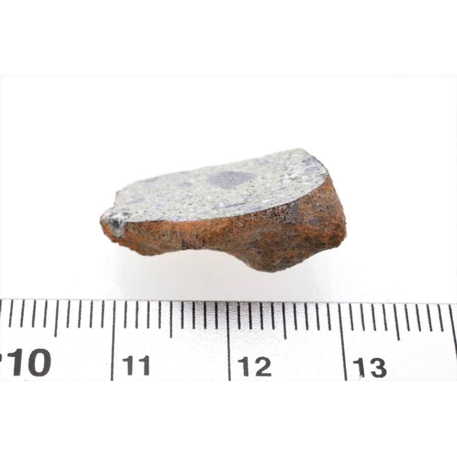 見る！?ミルビリリー隕石 標本 見る！?ミルビリリー隕石 標本