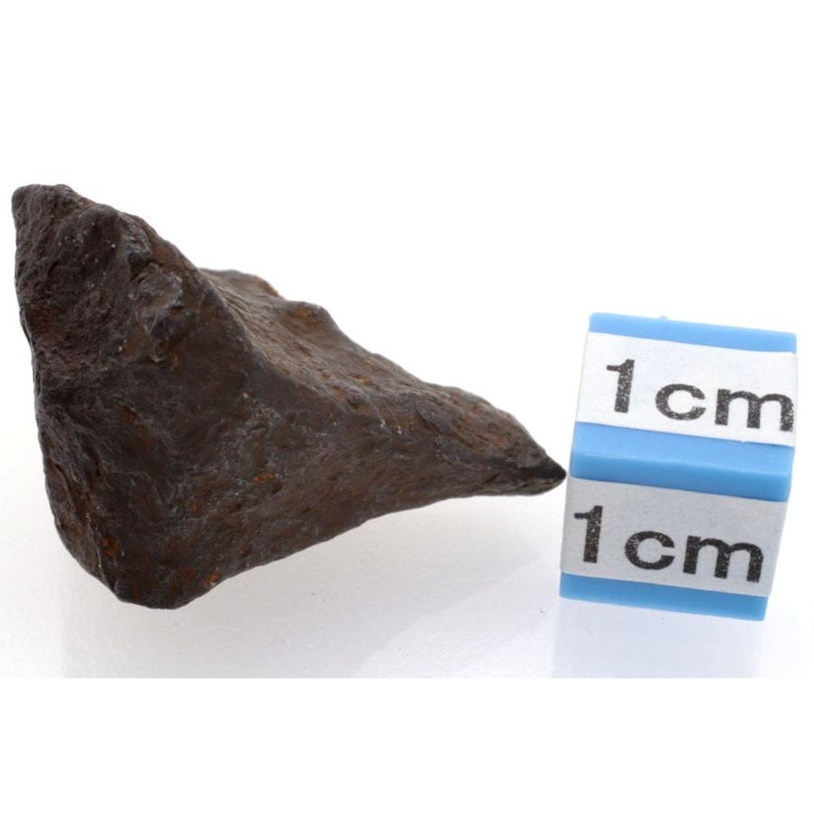 キャニオンディアブロ 20g 原石 標本 隕石 オクタヘドライト CanyonDiablo No.10｜noblestone7｜04