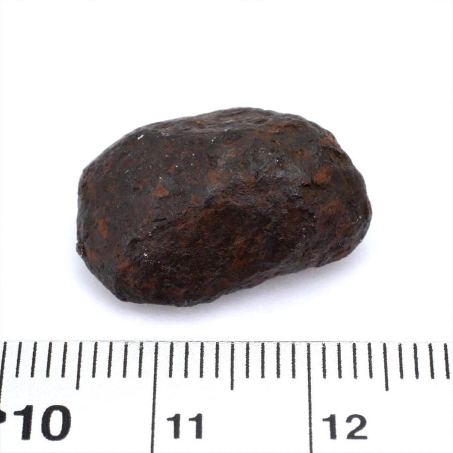マンドラビラ 10.3g 原石 標本 隕石 鉄隕石 隕鉄 Mundrabilla No.12｜noblestone7｜02
