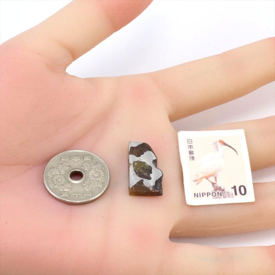 イミラック 隕石 3.1g パラサイト 石鉄隕石 標本 Imilac M2413 : 隕石