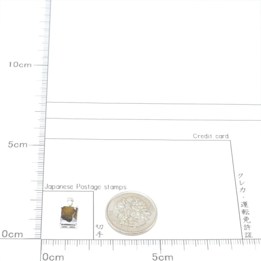 イミラック 隕石 1.0g パラサイト ネックレス ペンダント トップ