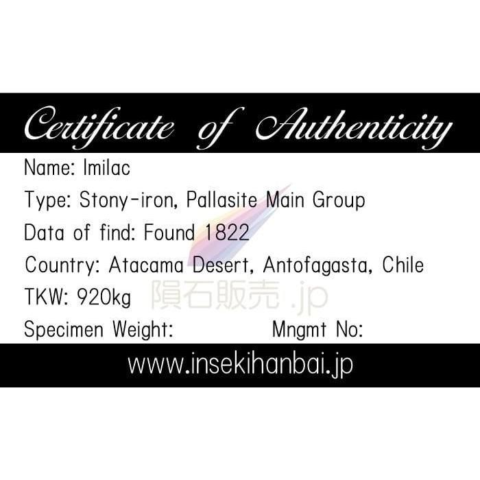 隕石　メテオライト　イミラック　ペンダントトップ付き イミラック 隕石 1.0g パラサイト ネックレス ペンダント トップ