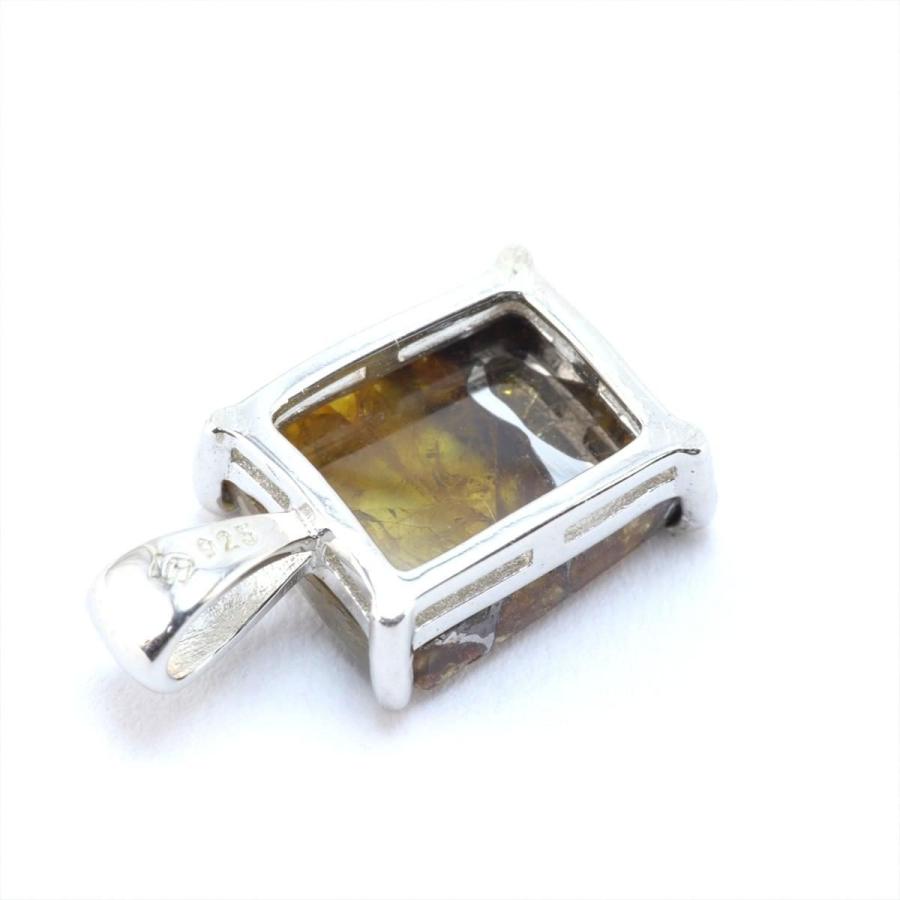 隕石　メテオライト　イミラック　ペンダントトップ付き イミラック 隕石 2.0g パラサイト ネックレス ペンダント トップ