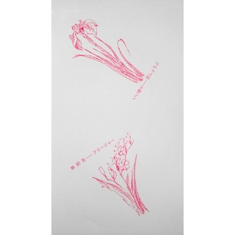 包装紙【花柄】柄耐水紙/生花耐水紙並口40g/m2使用 フラワー 包装紙【花柄】柄耐水紙/生花耐水紙並口40g/m2使用 フラワー