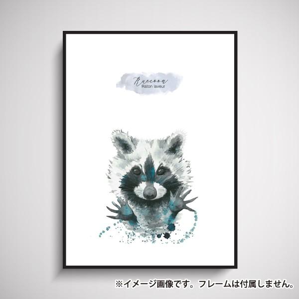ポスター インテリア サイズサイズ アライグマ 水彩画風 青 動物 イラスト かわいい 一人暮らし 大きい Animal 06 備品販促二郎 通販 Yahoo ショッピング