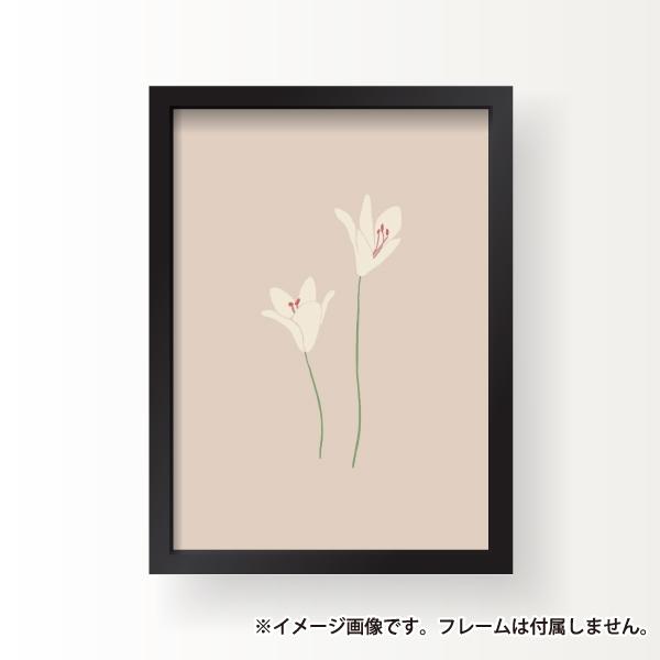 サイズ 植物 百合 花 ホワイトリリー マドンナリリー ベージュ シンプル イラスト インテリア アート ポスター 壁掛け シンプル おしゃれ 北欧 韓国 雑貨 Plant 16 Soyumoa ソユモア 通販 Yahoo ショッピング