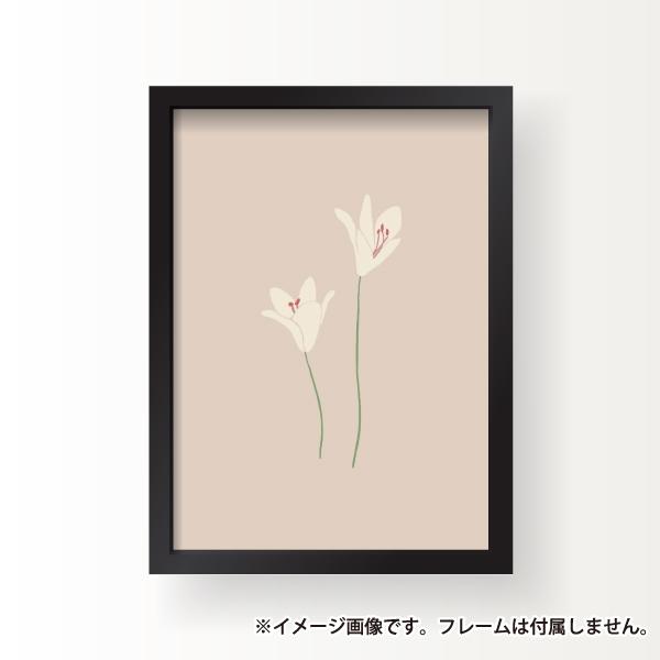 植物 百合 花 ホワイトリリー マドンナリリー  シンプル イラスト インテリア アート ポスター おしゃれ 玄関 雑貨 一人暮らし 北欧 韓国 大きい A1 A2 A3 B2 B3｜nobori-king｜04