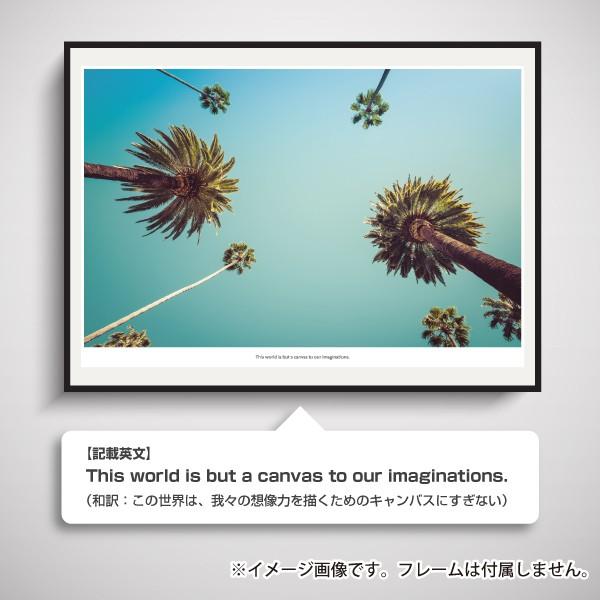 ポスター インテリア サイズ 風景 南国 ヤシの木 空 写真 フォト 一人暮らし 大きい おしゃれなインテリアアートポスター Scenery 06 備品販促二郎 通販 Yahoo ショッピング