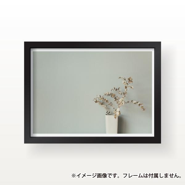 水色の壁と葉っぱ 写真 フォト インテリア アート ポスター おしゃれ 玄関 雑貨 一人暮らし 北欧 韓国 大きい A1 A3 B2 Scenery 23 A3 備品販促二郎 通販 Yahoo ショッピング