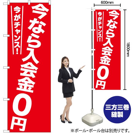 のぼり旗 2枚セット 今なら入会金0円 AKB-1209｜noboristore｜02