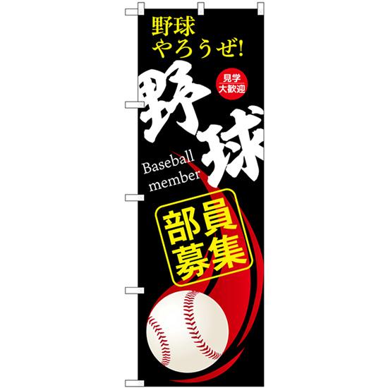 のぼり旗17枚セット のぼり屋工房 のぼり旗 2枚セット 野球部員募集 (黒) GNB-3367