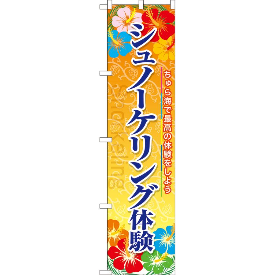 のぼり旗 2枚セット シュノーケリング体験 YNS-7989 ［スマートサイズ
