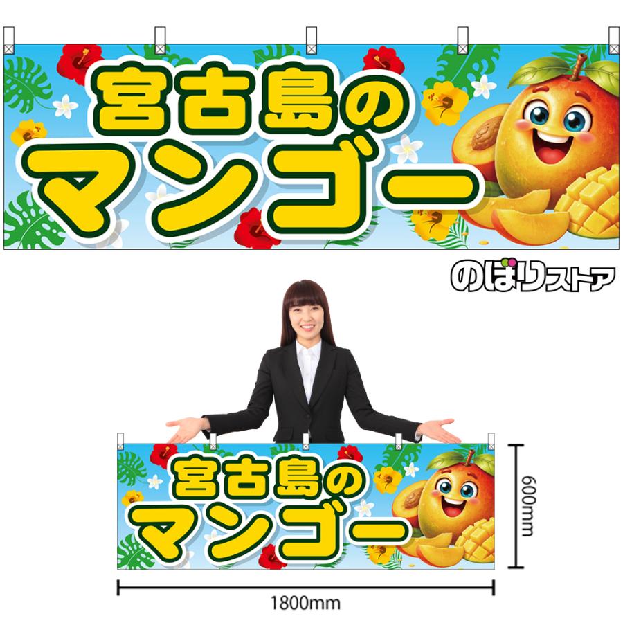 横幕 宮古島のマンゴー Delicious Mango （水色） PY-0182 : のぼり旗