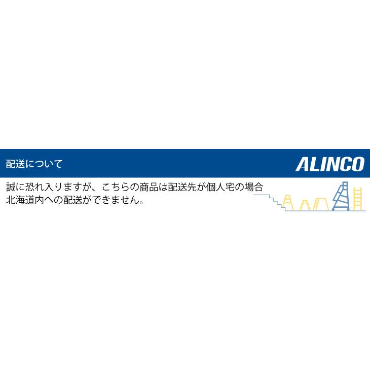 アルインコ 踏台 SS52A 天板高さ(m)：0.52 使用質量(kg)：100｜nobotte｜03