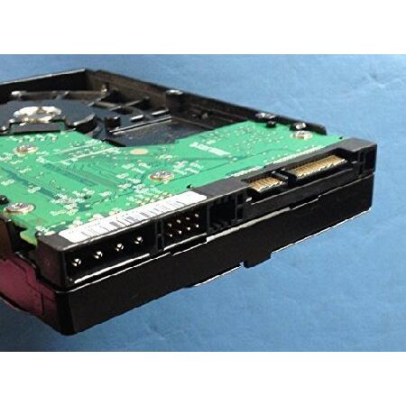 Western Digital WD800JD-19MSA1｜nobuimport｜04