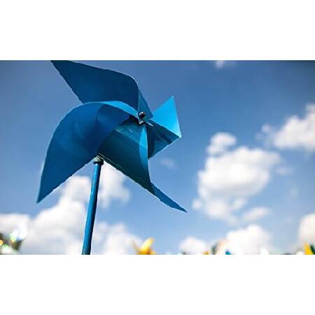 新入荷！ Rokinon Cine DS 24 mm t1.5 Ed as if UMCフルフレームCine Wide Angle Lens for Canon EF フルサイズ DS24M-NEX 【AAA9770205783】(35061円)