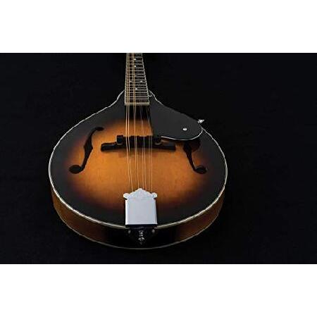 使い勝手の良い Washburn/Americana Mandolin M1-Pack M1-Pack 